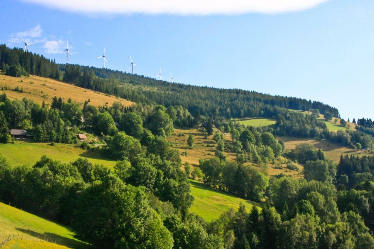 Genussgasthof Willenshofer Sankt Kathrein am Hauenstein Luaran gambar